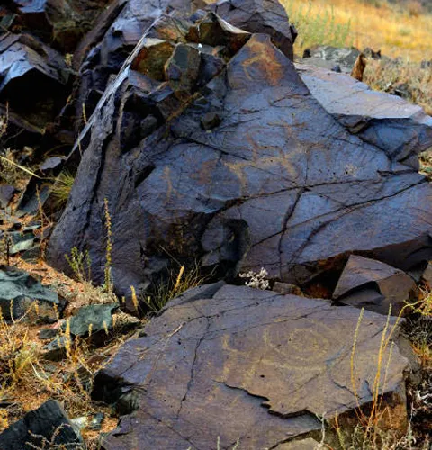 China Black Landscape Stone