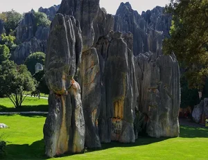 Garden Landscape Stones