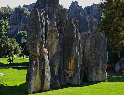 Garden Landscape Stones